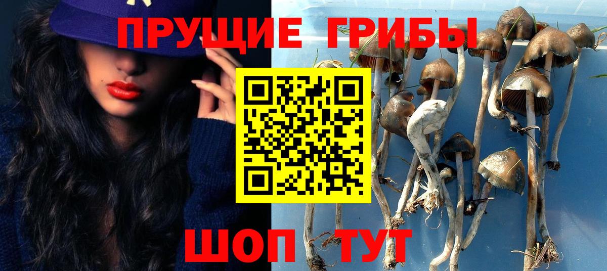 Кохма  Псилоцибиновые грибы MAGIC MUSHROOMS  Псилоцибиновые грибы мухоморы  Вход с VPN 